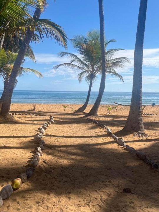 Oceanview Apartment Steps To The Beach Luquillo Εξωτερικό φωτογραφία