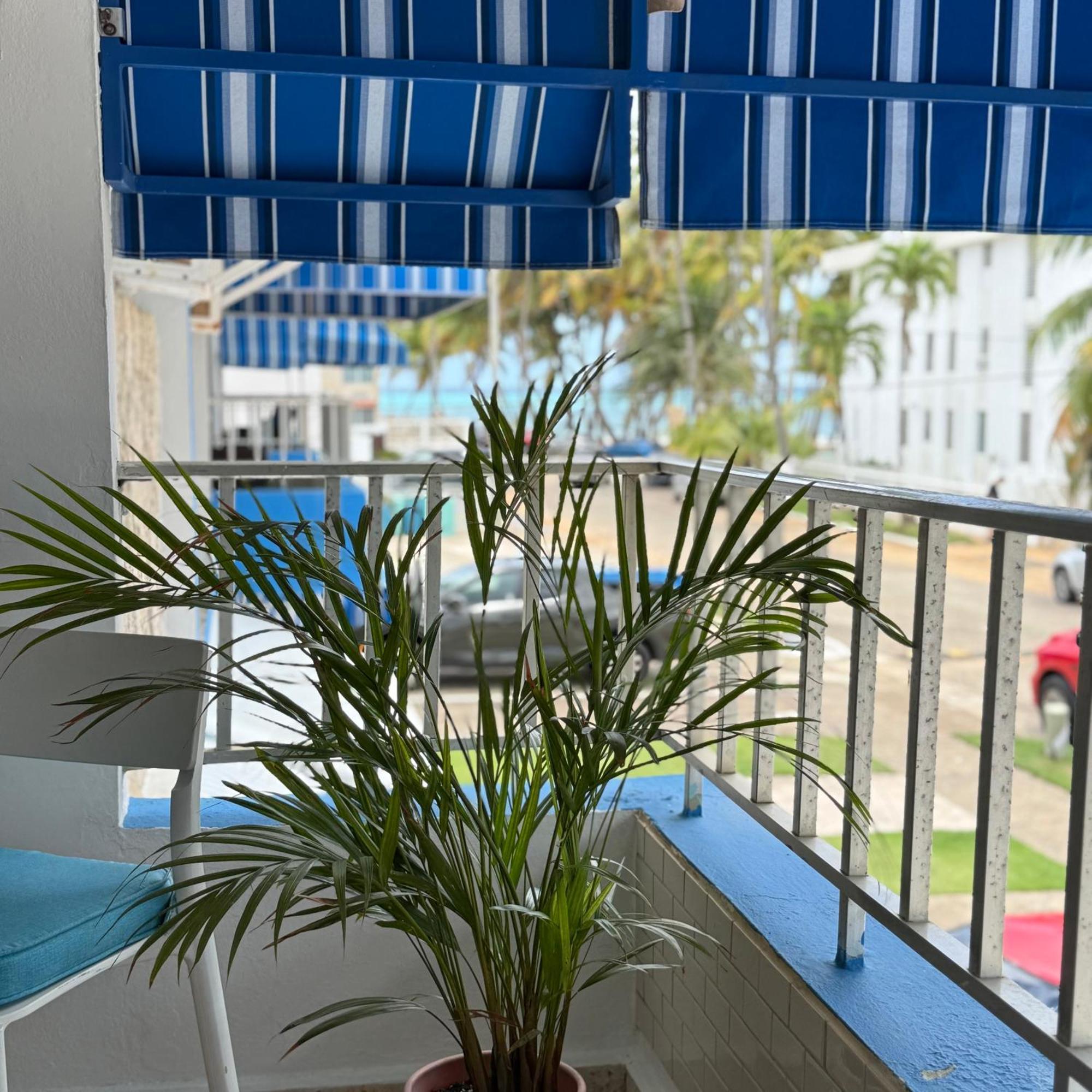 Oceanview Apartment Steps To The Beach Luquillo Εξωτερικό φωτογραφία