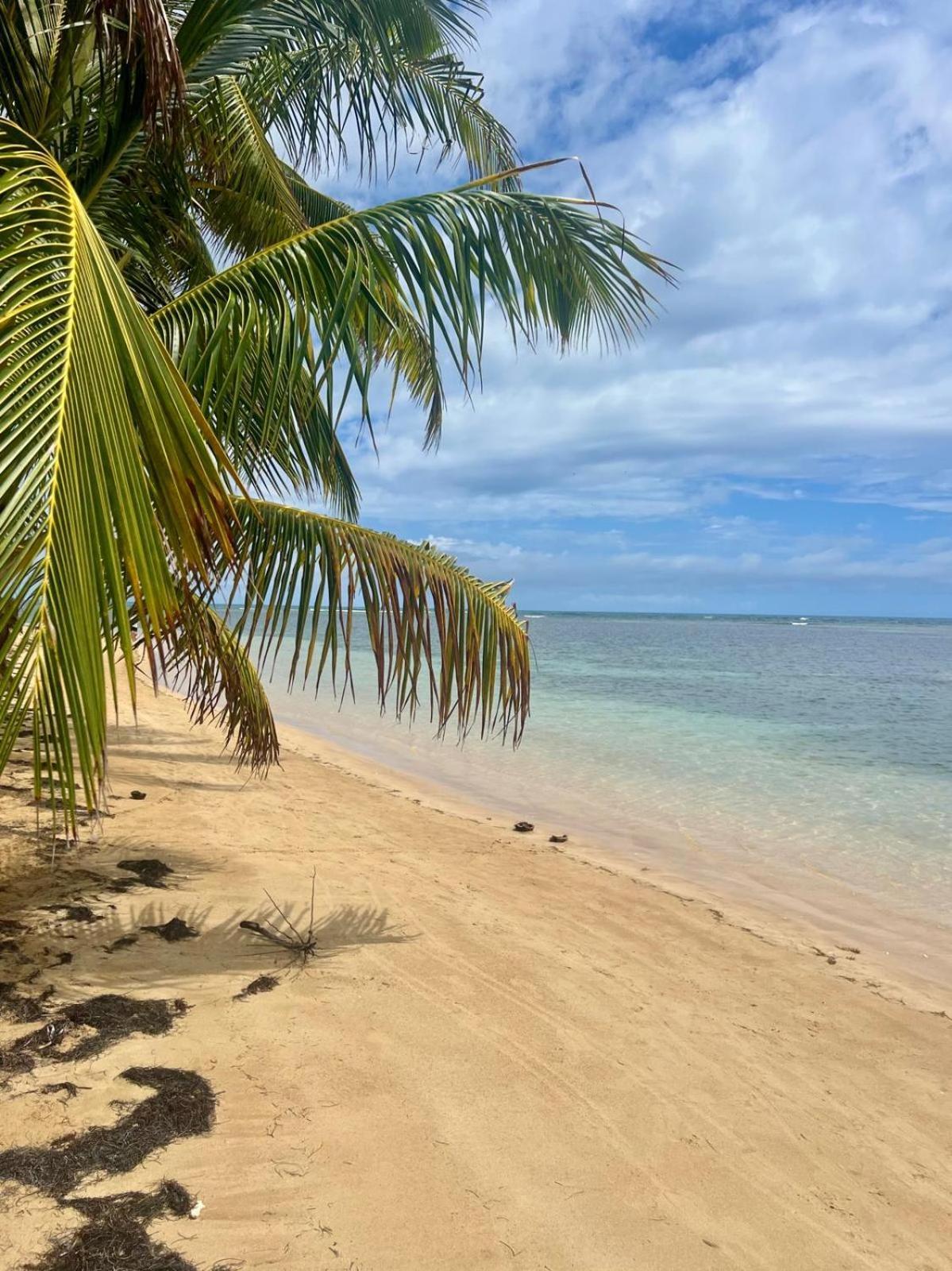 Oceanview Apartment Steps To The Beach Luquillo Εξωτερικό φωτογραφία